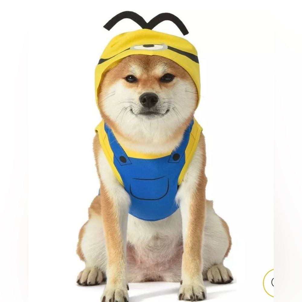 Minion Dog Costume size L